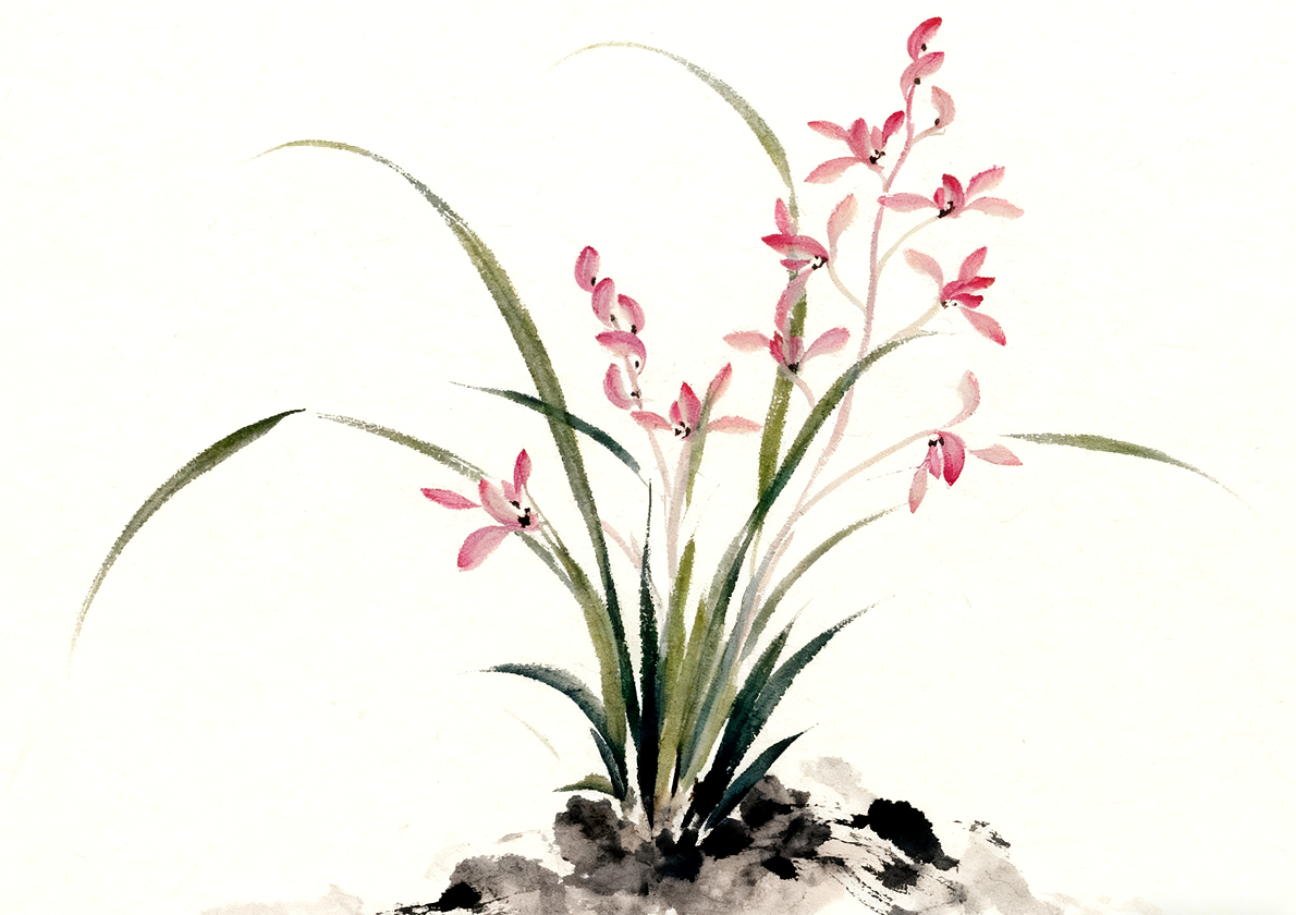 1762417417749021.png image.png